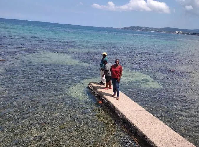 Chateau Margarita Ja Guest house Montego Bay